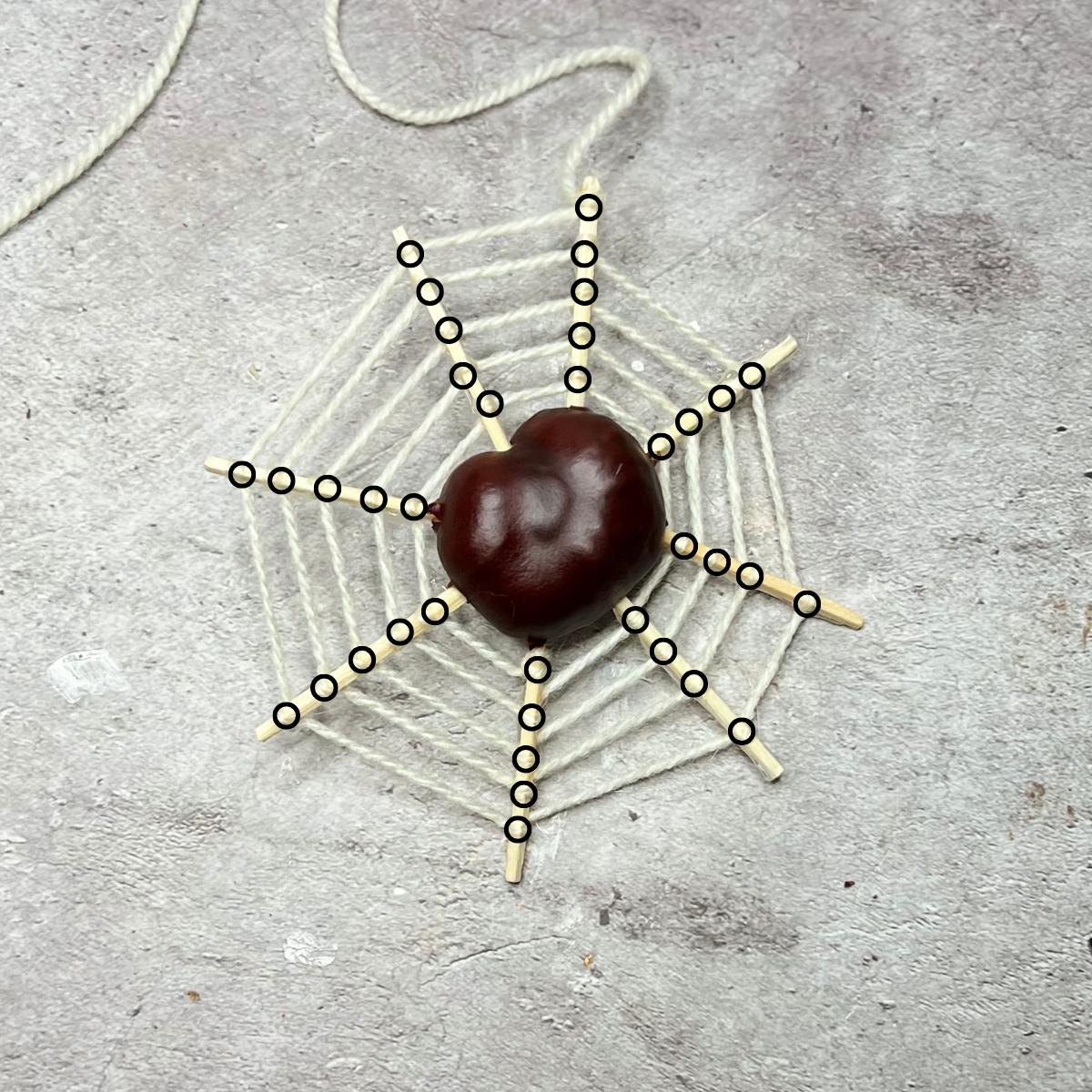 Spinnennetz aus Kastanien basteln - Homemadery Spinnennetz aus Kastanien basteln - Homemadery