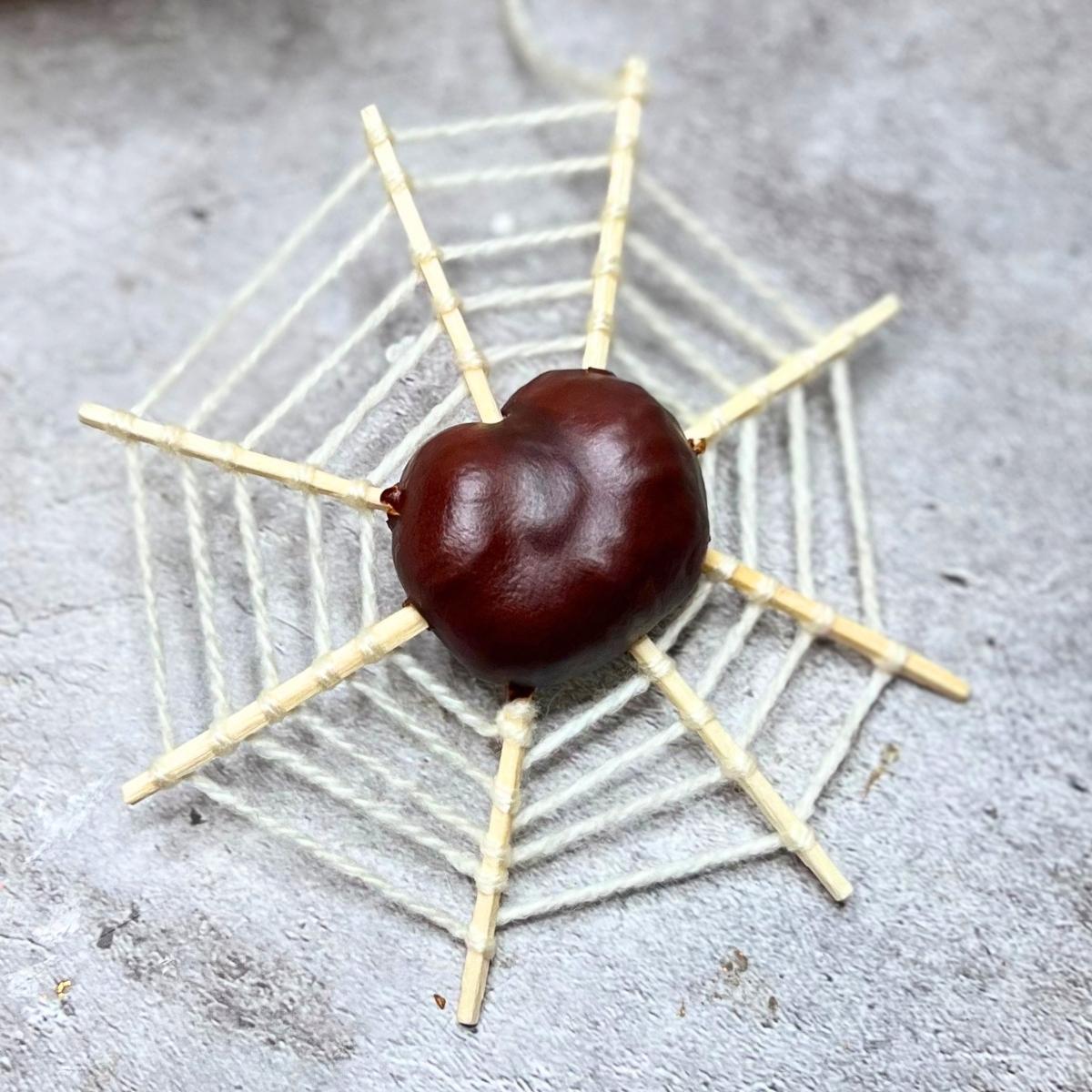 Spinnennetz aus Kastanien basteln - Homemadery