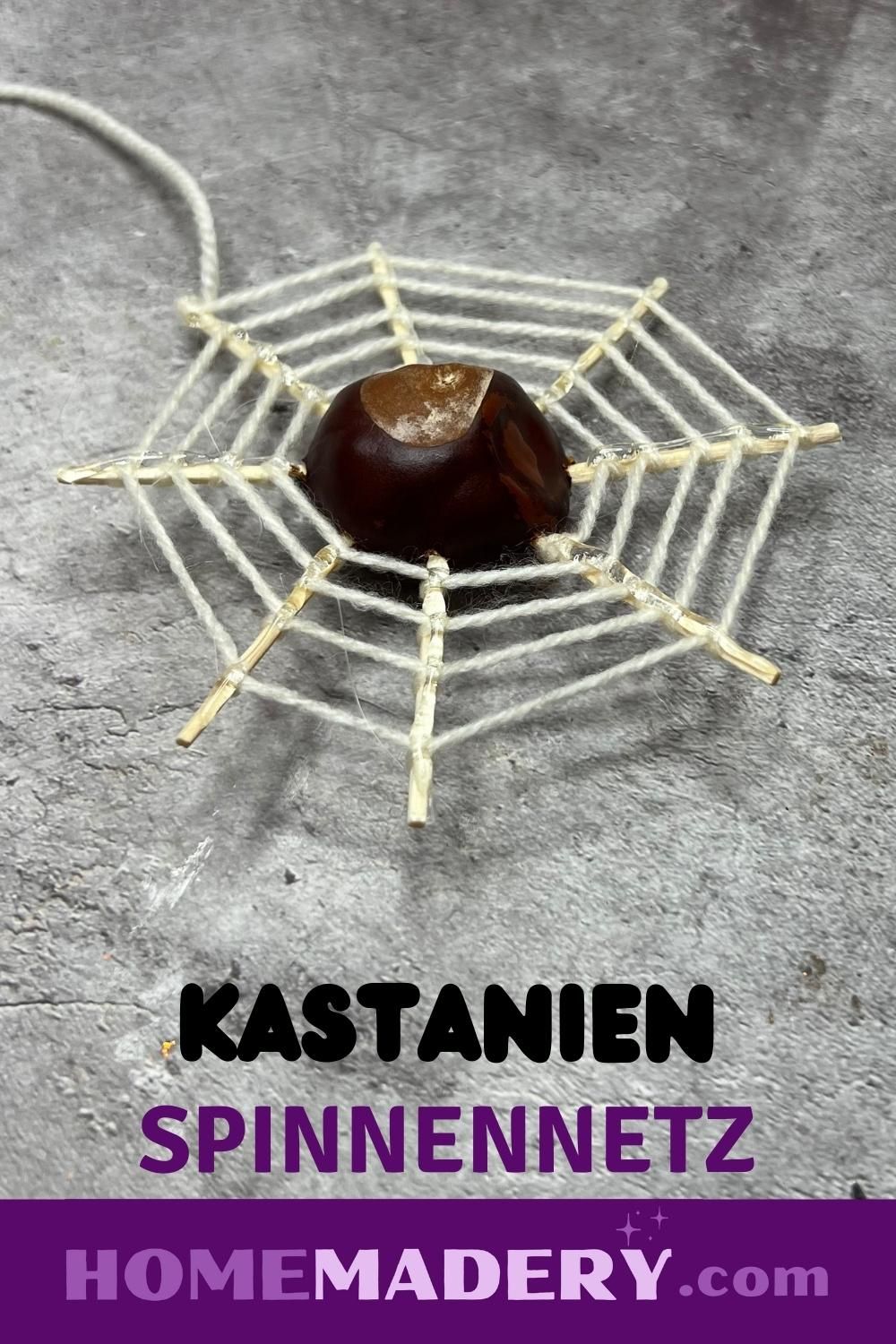 Spinnennetz aus Kastanien basteln - Homemadery